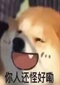 大小姐她笨笨的(NPH)_最